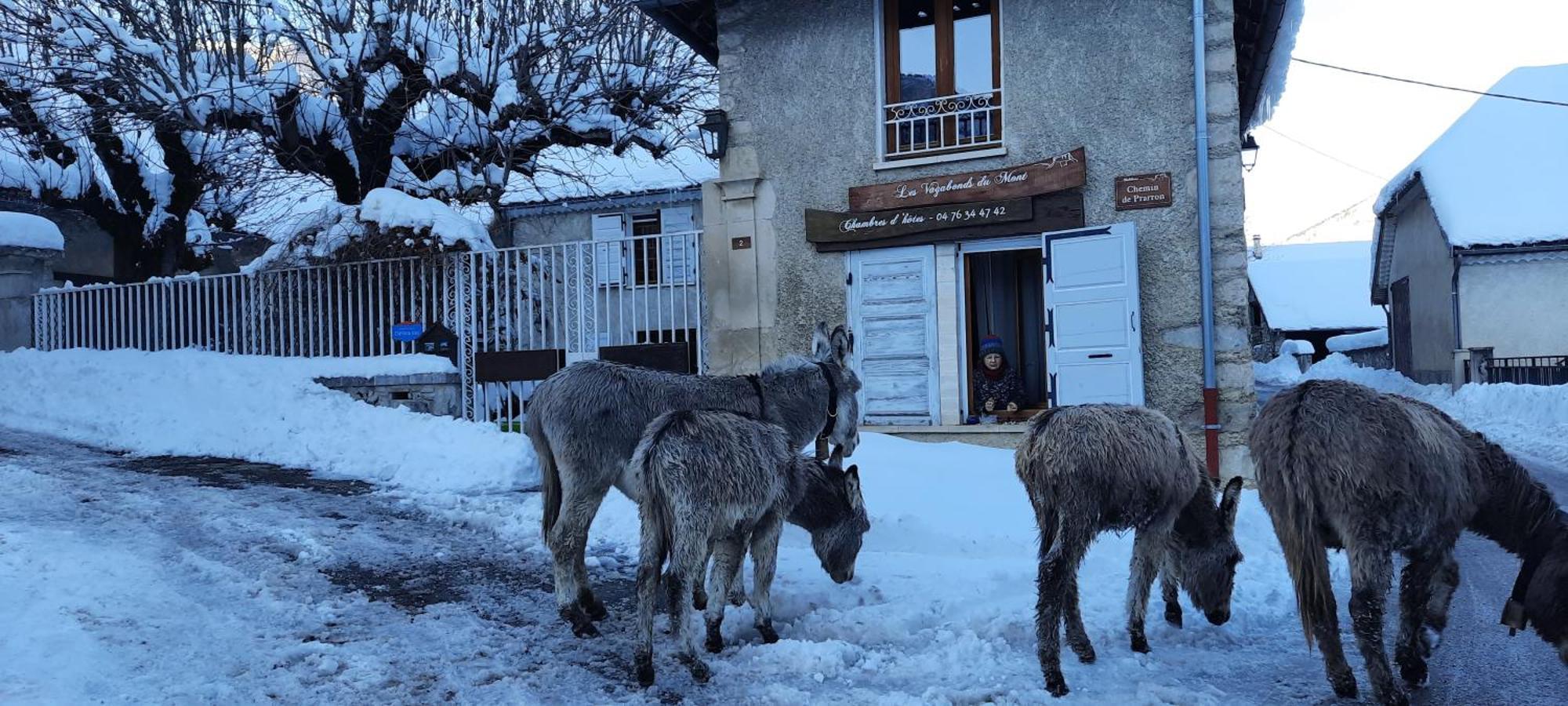 Les Vagabonds Du Mont Bed and Breakfast Chichilianne Εξωτερικό φωτογραφία